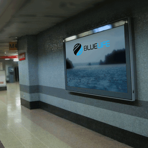 bluelife